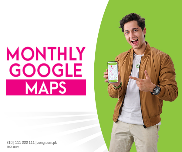Monthly Google Maps Offer