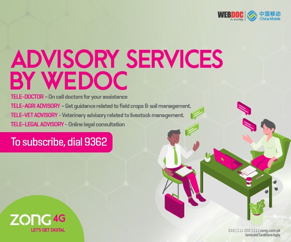 Advisory Services