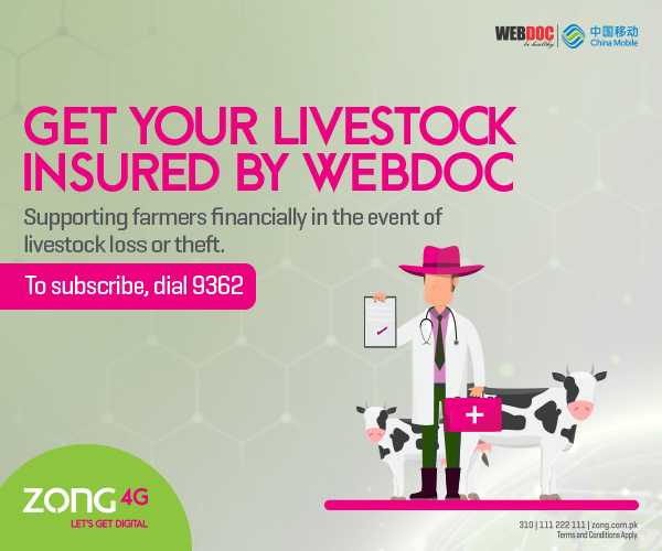 Livestock Insurance Product Details & T&cs